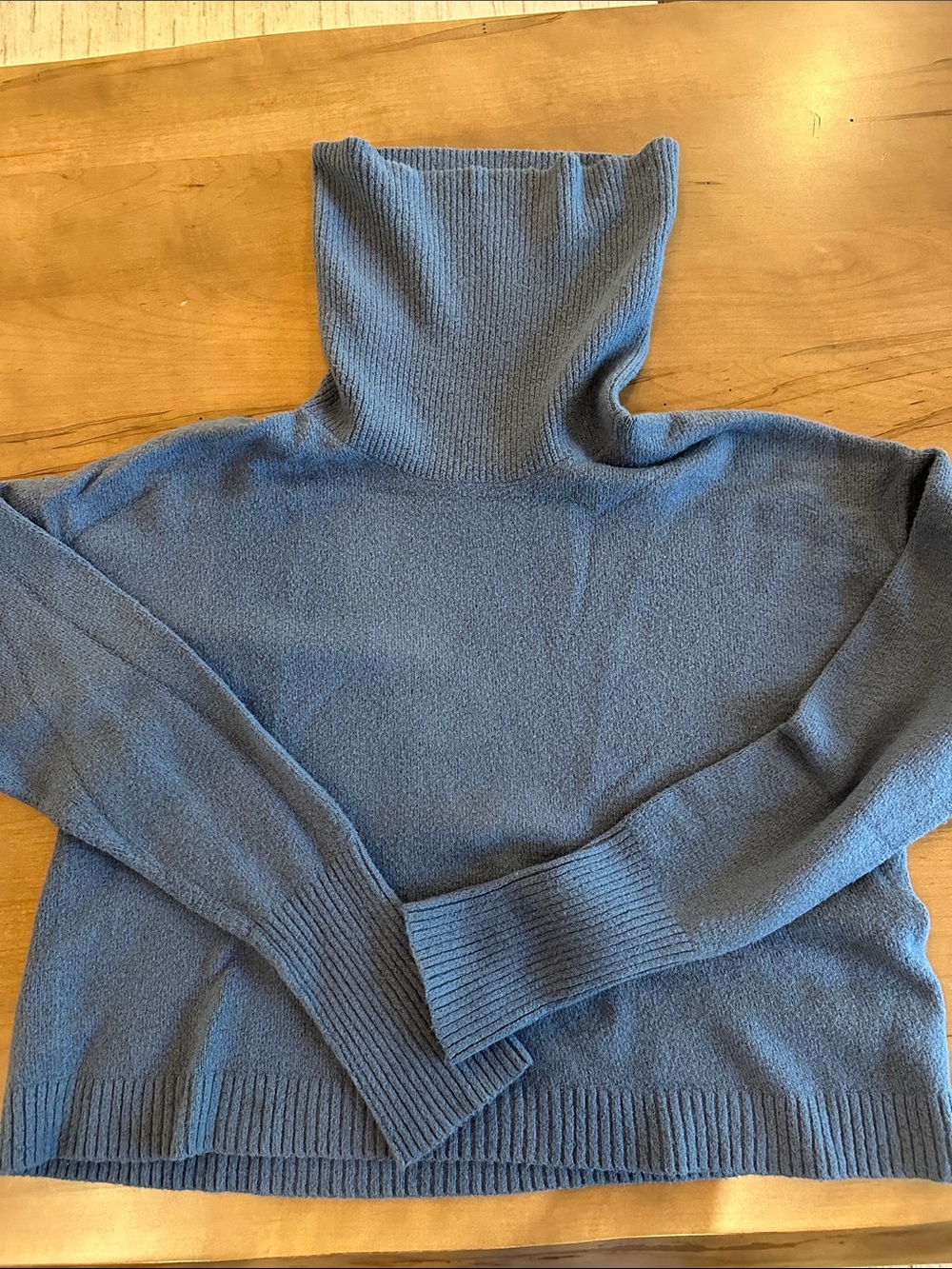 Treasure & Bond Blue Turtleneck Sweater
